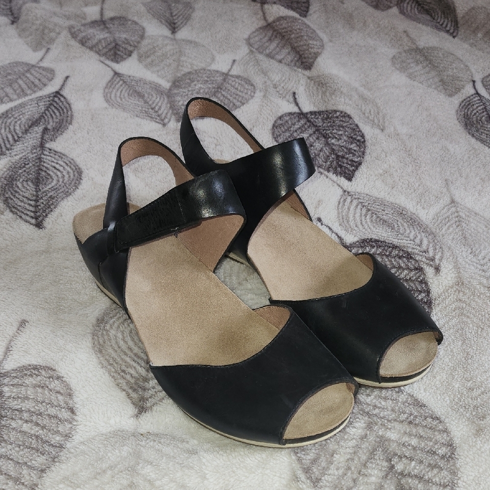 Elegant Black Women's Sandals